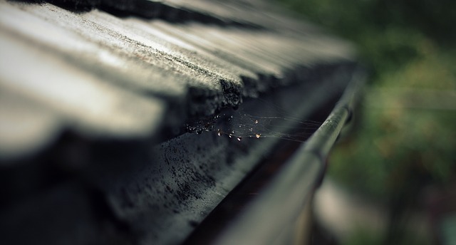 雨漏りの原因部位に関する技術的考察 ― 外壁が直接原因となる事例の稀少性について